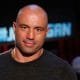55 Joe Rogan Quotes That Will Motivate You To Success